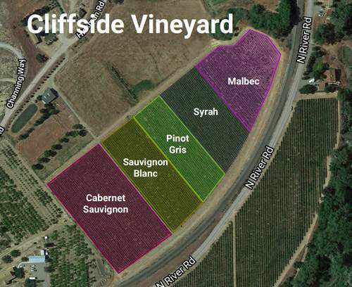 vineyard-cliffside-sm