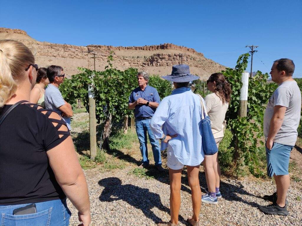 Scott High during a tour in the vineyards at Colterris Winery. Palisade Winery Jobs include these tours.