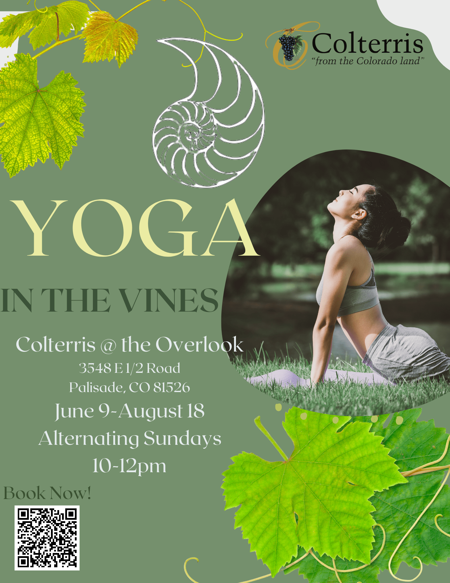 Yoga in the Vines flyer in Palisade Colorado at Colterris